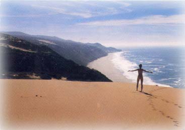 Paradise Beach